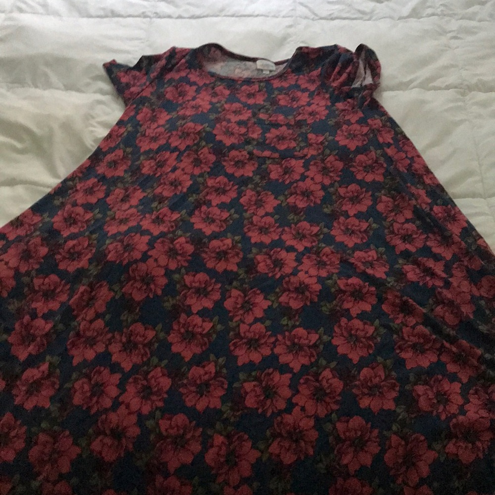 Medium Lularoe Carly blue and pink floral print